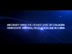 Giới thiệu công ty MICONVEY